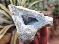 Natural Blue Lace Agate Geodes x 12 From Nsanje, Malawi