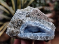 Natural Blue Lace Agate Geodes x 12 From Nsanje, Malawi