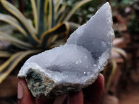 Natural Blue Lace Agate Geodes x 12 From Nsanje, Malawi