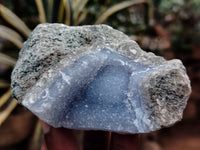 Natural Blue Lace Agate Geodes x 12 From Nsanje, Malawi