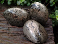 Polished Rare Pharaoh Stone Pyrite in Basalt Palm Stones x 6 Iron Duke Mine, Zimbabwe