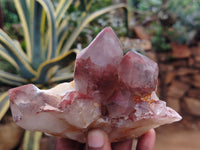 Polished Red Hematoid Phantom Quartz Clusters x 2 From Karoi, Zimbabwe