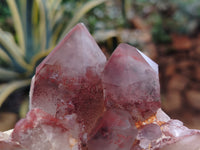 Polished Red Hematoid Phantom Quartz Clusters x 2 From Karoi, Zimbabwe