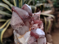 Polished Red Hematoid Phantom Quartz Clusters x 2 From Karoi, Zimbabwe