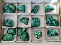 Polished Malacolla Free Forms x 16 From Kalukundi Mine, Congo