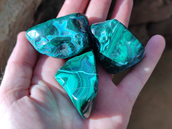 Polished Malacolla Free Forms x 16 From Kalukundi Mine, Congo