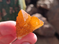 Natural Golden Solar Spirit Quartz Clusters x 35 From Boekenhouthoek, South Africa