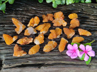 Natural Golden Solar Spirit Quartz Clusters x 35 From Boekenhouthoek, South Africa