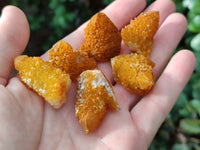 Natural Golden Solar Spirit Quartz Clusters x 35 From Boekenhouthoek, South Africa