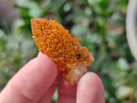 Natural Golden Solar Spirit Quartz Clusters x 35 From Boekenhouthoek, South Africa