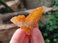 Natural Golden Solar Spirit Quartz Clusters x 35 From Boekenhouthoek, South Africa