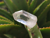 Polished Clear Quartz Crystals x 70 From Madagascar