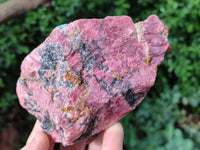 Natural Rhodonite Cobbed Specimens x 3 From Rhusinga, Zimbabwe