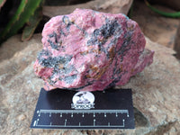 Natural Rhodonite Cobbed Specimens x 3 From Rhusinga, Zimbabwe