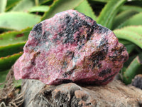 Natural Rhodonite Cobbed Specimens x 3 From Rhusinga, Zimbabwe