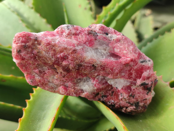 Natural Rhodonite Cobbed Specimens x 3 From Rhusinga, Zimbabwe