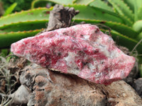 Natural Rhodonite Cobbed Specimens x 3 From Rhusinga, Zimbabwe