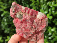 Natural Rhodonite Cobbed Specimens x 3 From Rhusinga, Zimbabwe