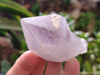 Natural Jacaranda Amethyst Single Quartz Crystals x 24 From Mumbwa, Zambia