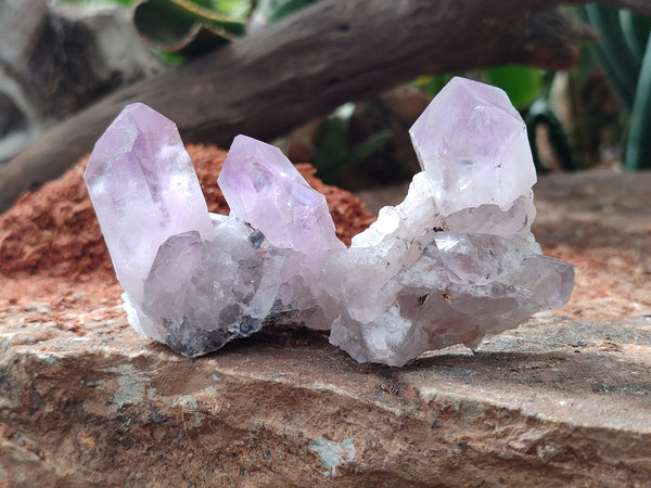 Natural Jacaranda Amethyst Single Quartz Crystals x 24 From Mumbwa, Zambia