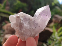 Natural Jacaranda Amethyst Single Quartz Crystals x 24 From Mumbwa, Zambia