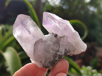 Natural Jacaranda Amethyst Single Quartz Crystals x 24 From Mumbwa, Zambia