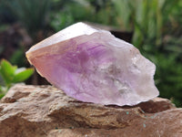 Natural Jacaranda Amethyst Single Quartz Crystals x 24 From Mumbwa, Zambia