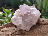 Natural Jacaranda Amethyst Single Quartz Crystals x 24 From Mumbwa, Zambia