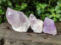 Natural Jacaranda Amethyst Single Quartz Crystals x 24 From Mumbwa, Zambia