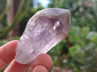 Natural Jacaranda Amethyst Single Quartz Crystals x 24 From Mumbwa, Zambia