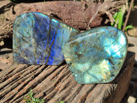 Polished Labradorite Standing Free Forms x 2 From Tulear, Madagascar