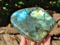 Polished Labradorite Standing Free Forms x 2 From Tulear, Madagascar