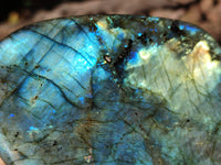 Polished Labradorite Standing Free Forms x 2 From Tulear, Madagascar