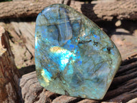 Polished Labradorite Standing Free Forms x 2 From Tulear, Madagascar