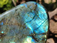 Polished Labradorite Standing Free Forms x 2 From Tulear, Madagascar