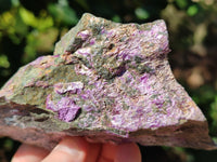 Natural Stichtite Cobbed Specimens x 12 From Barberton, South Africa