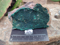 Natural Botryoidal Malachite Specimens x 6 From Tenke Fungurume, Congo