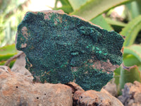 Natural Botryoidal Malachite Specimens x 6 From Tenke Fungurume, Congo