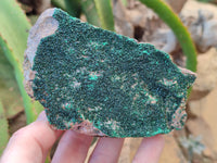 Natural Botryoidal Malachite Specimens x 6 From Tenke Fungurume, Congo