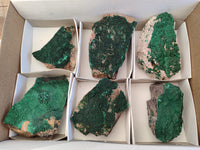 Natural Botryoidal Malachite Specimens x 6 From Tenke Fungurume, Congo