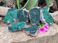 Natural Botryoidal Malachite Specimens x 6 From Tenke Fungurume, Congo