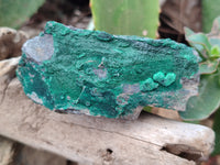 Natural Botryoidal Malachite Specimens x 6 From Tenke Fungurume, Congo