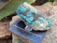 Natural Shattuckite with Chrysocolla and Malachite x 12 From Kaokoveld, Namibia