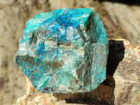 Natural Shattuckite with Chrysocolla and Malachite x 12 From Kaokoveld, Namibia