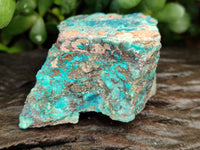 Natural Shattuckite with Chrysocolla and Malachite x 12 From Kaokoveld, Namibia