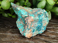 Natural Shattuckite with Chrysocolla and Malachite x 12 From Kaokoveld, Namibia