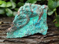 Natural Shattuckite with Chrysocolla and Malachite x 12 From Kaokoveld, Namibia