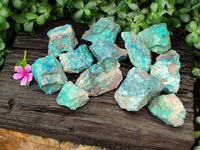 Natural Shattuckite with Chrysocolla and Malachite x 12 From Kaokoveld, Namibia