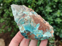 Natural Shattuckite with Chrysocolla and Malachite x 12 From Kaokoveld, Namibia