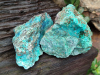 Natural Shattuckite with Chrysocolla and Malachite x 12 From Kaokoveld, Namibia